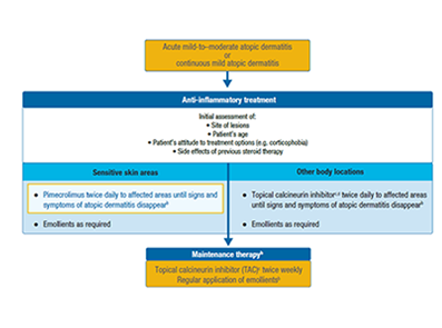 Treatment algorithm in South and East Asia for mild-to-moderate AD